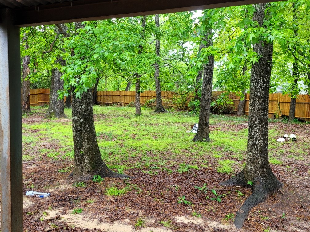 24617 Basswood Place , Huntsville, TX, 77320 | 41215741 | Realty Texas LLC