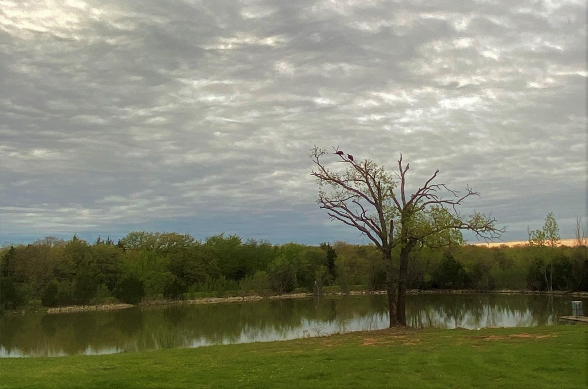 1619 COUNTY RD 156 Road , Whitesboro, TX, 76273 | 20298552 | Realty Texas LLC