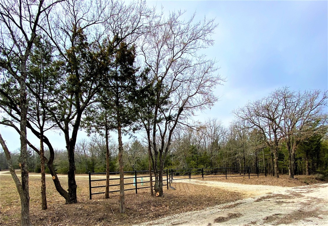1619 COUNTY RD 156 Road , Whitesboro, TX, 76273 | 20298552 | Realty Texas LLC