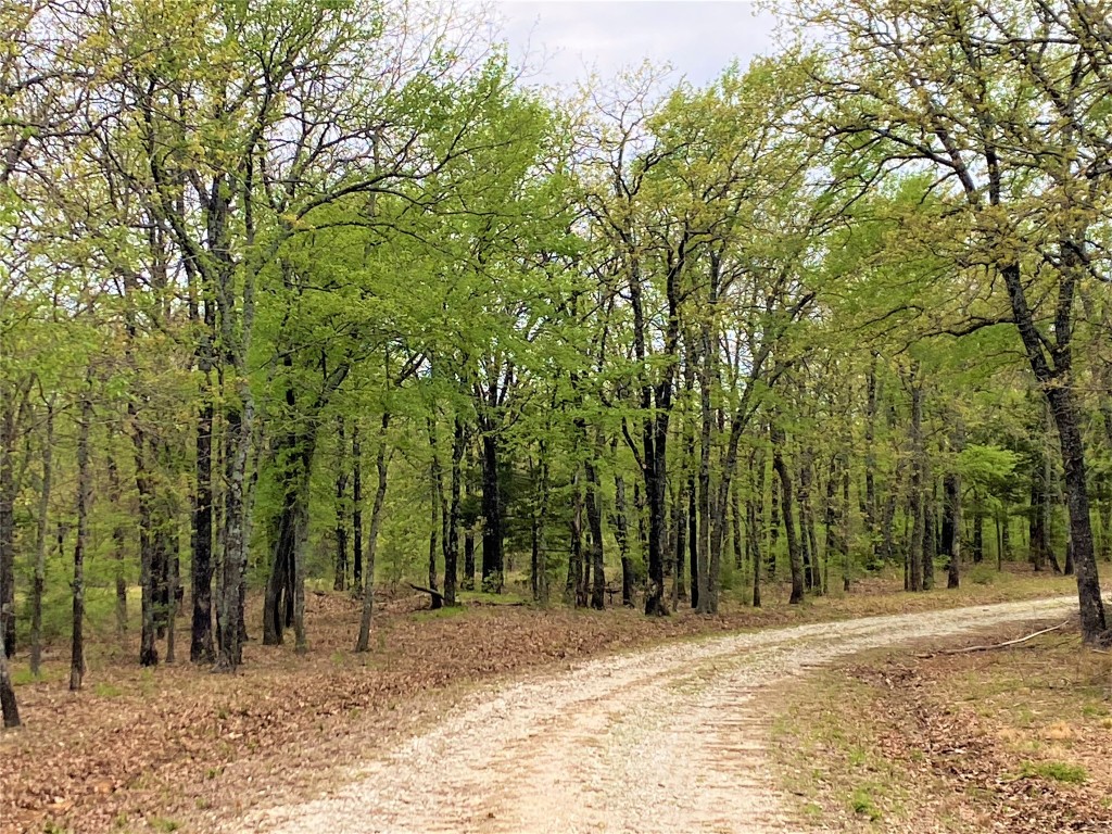1619 COUNTY RD 156 Road , Whitesboro, TX, 76273 | 20298552 | Realty Texas LLC