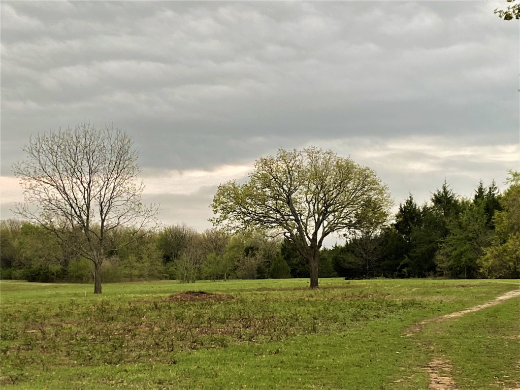1619 COUNTY RD 156 Road , Whitesboro, TX, 76273 | 20298552 | Realty Texas LLC