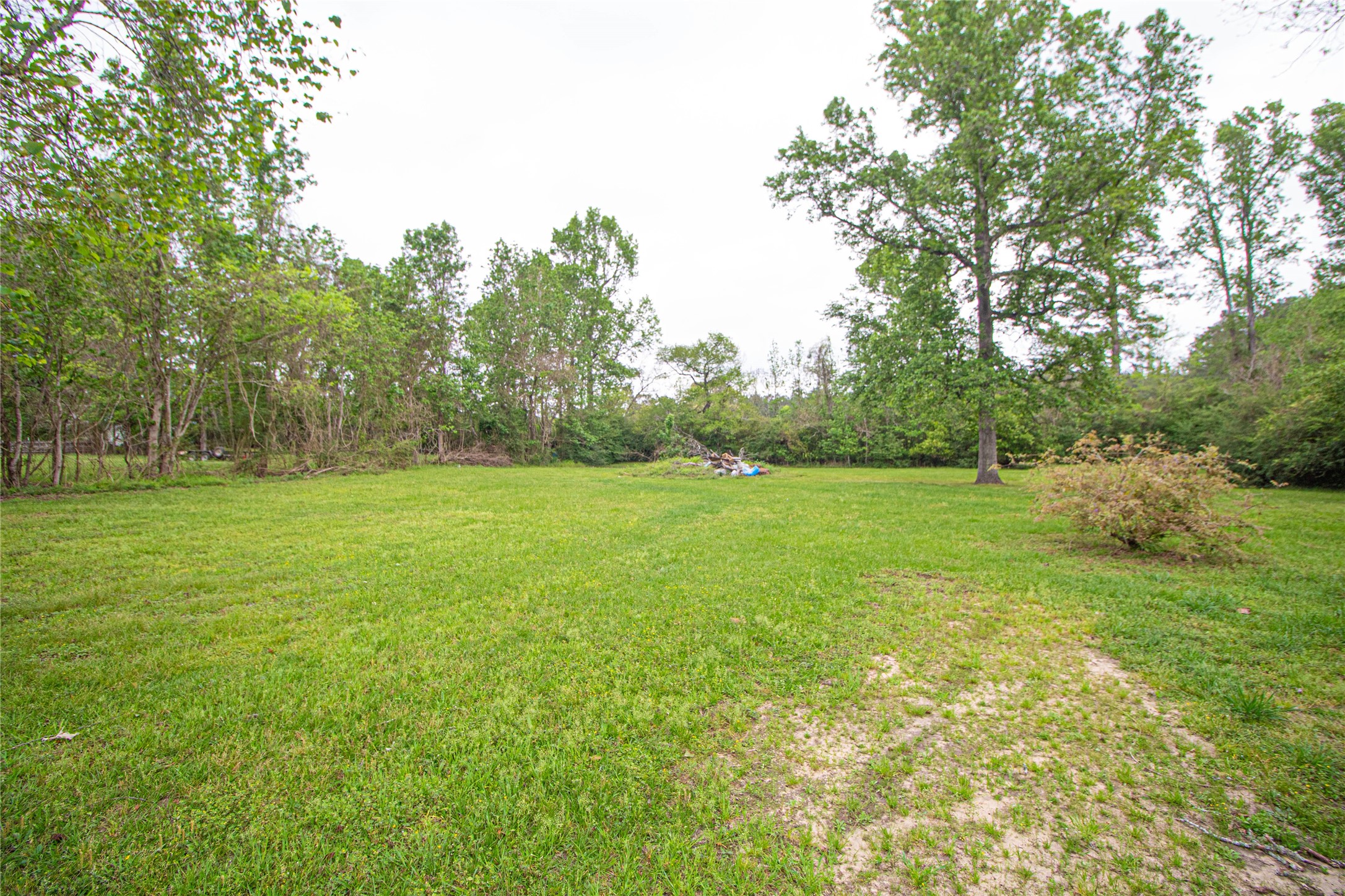 9061 Fm 1276 , Livingston, TX, 77351 | 29584986 | Realty Texas LLC