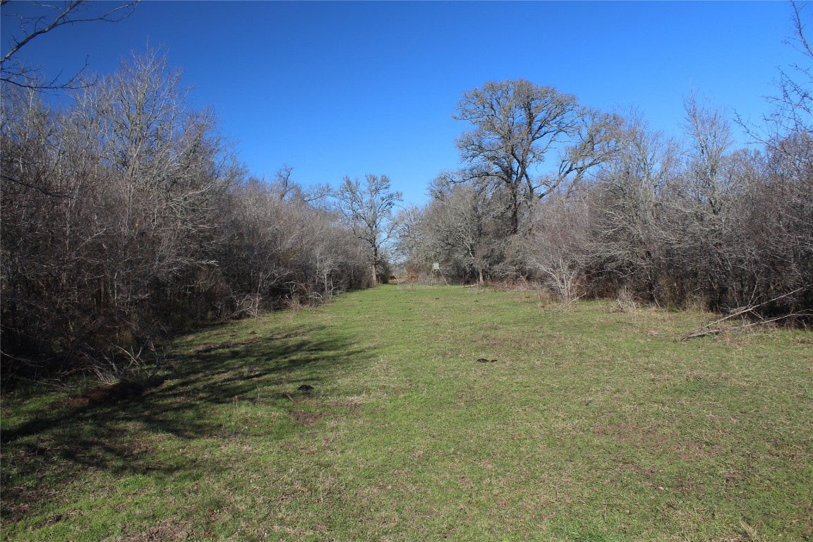1223 County Road 429 , Dime Box, TX, 77853 | 8914068 | Realty Texas LLC