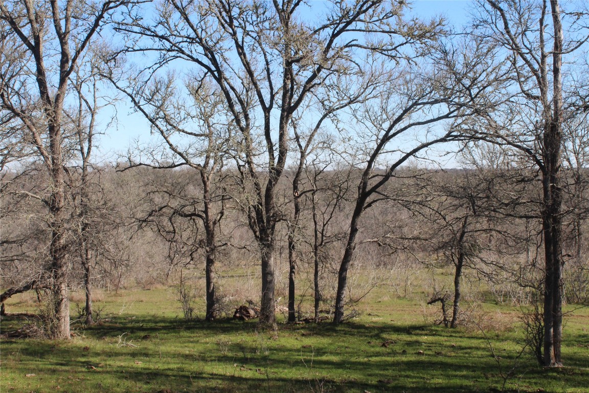 1223 County Road 429 , Dime Box, TX, 77853 | 8914068 | Realty Texas LLC