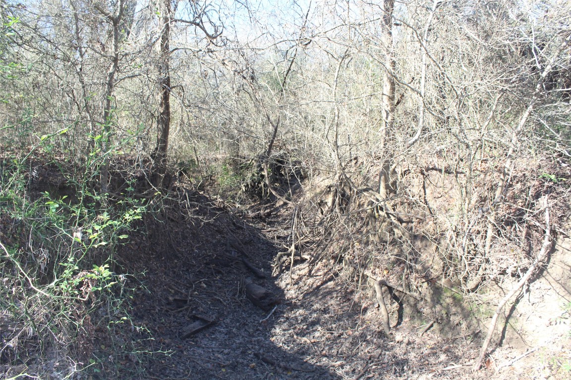 1223 County Road 429 , Dime Box, TX, 77853 | 8914068 | Realty Texas LLC