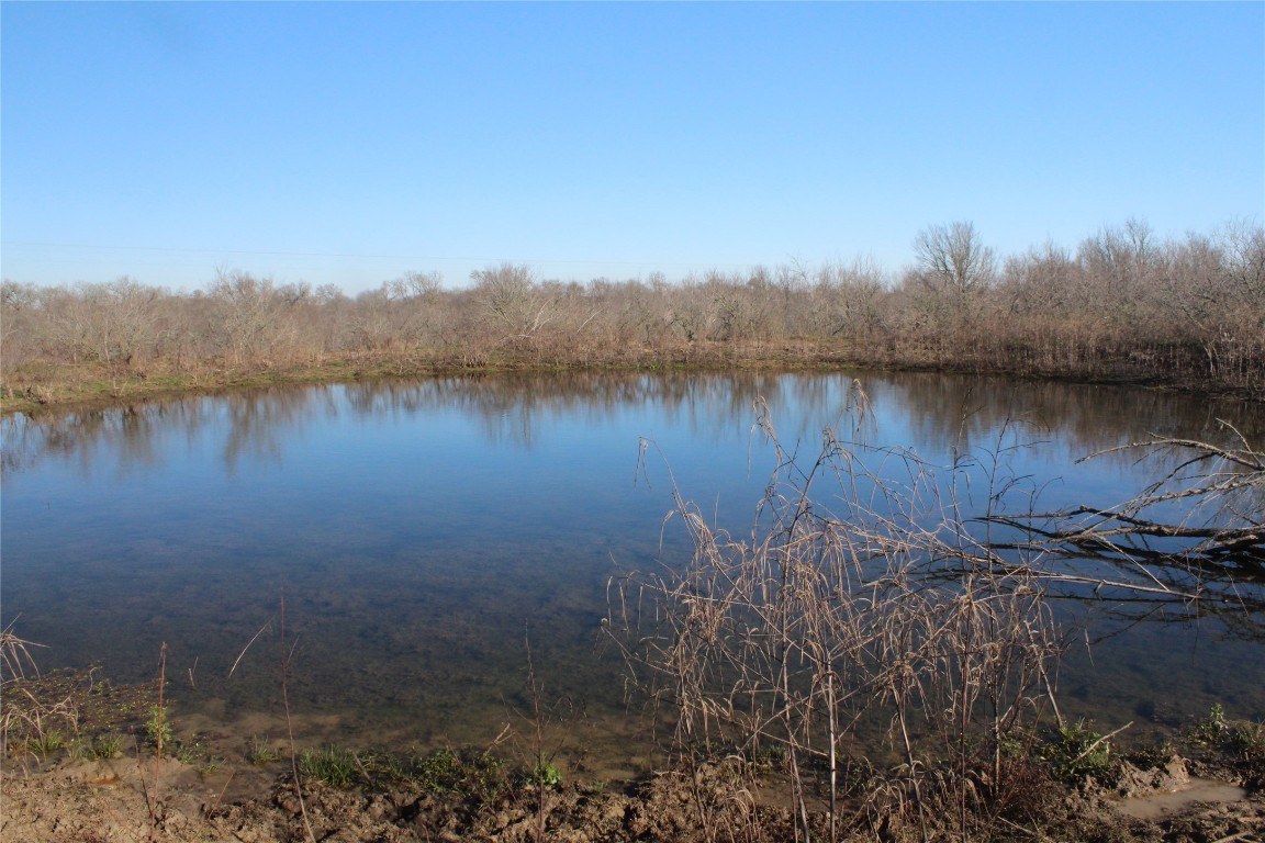 1223 County Road 429 , Dime Box, TX, 77853 | 8914068 | Realty Texas LLC
