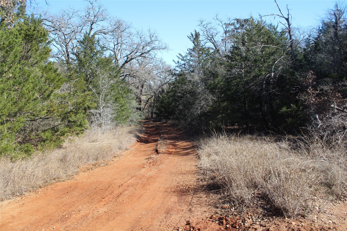 1223 County Road 429 , Dime Box, TX, 77853 | 8914068 | Realty Texas LLC