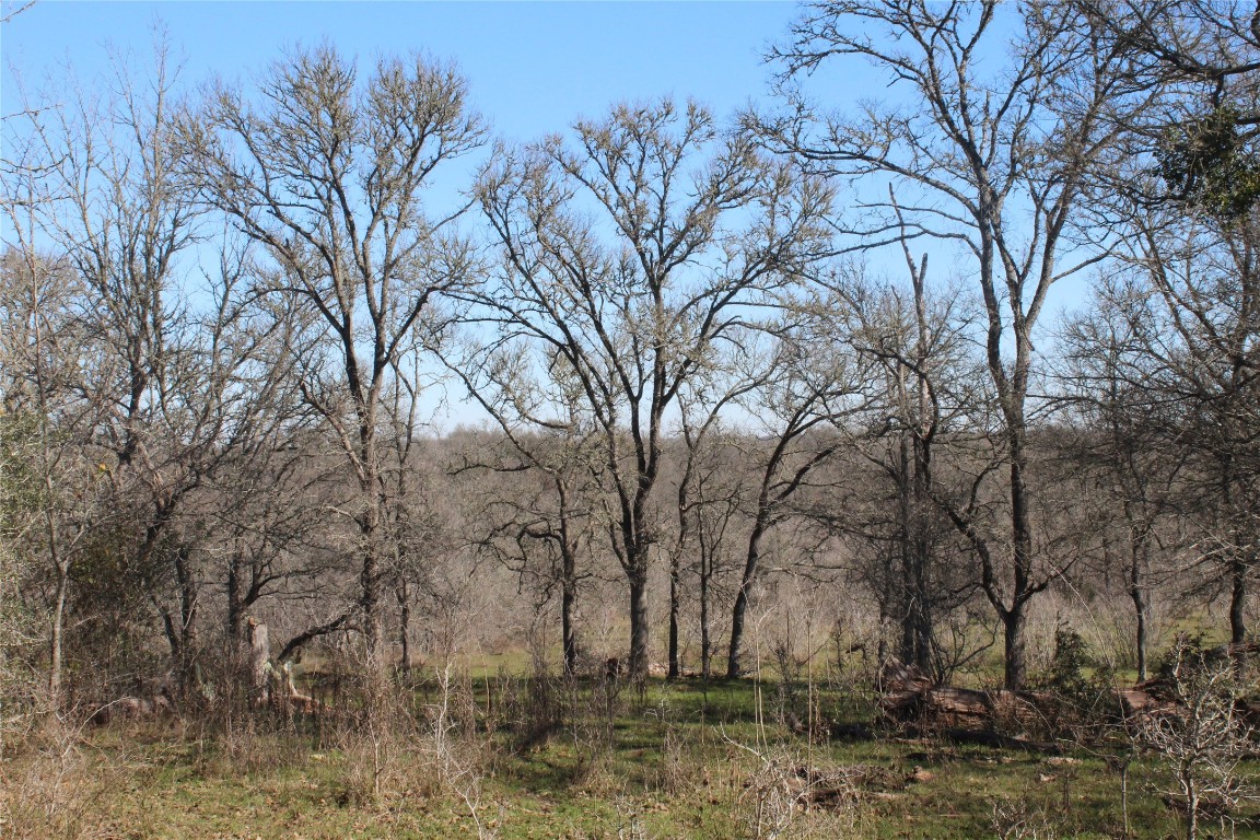 1223 County Road 429 , Dime Box, TX, 77853 | 8914068 | Realty Texas LLC
