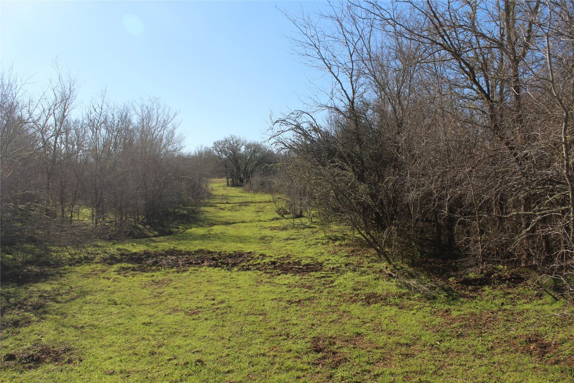 1223 County Road 429 , Dime Box, TX, 77853 | 8914068 | Realty Texas LLC