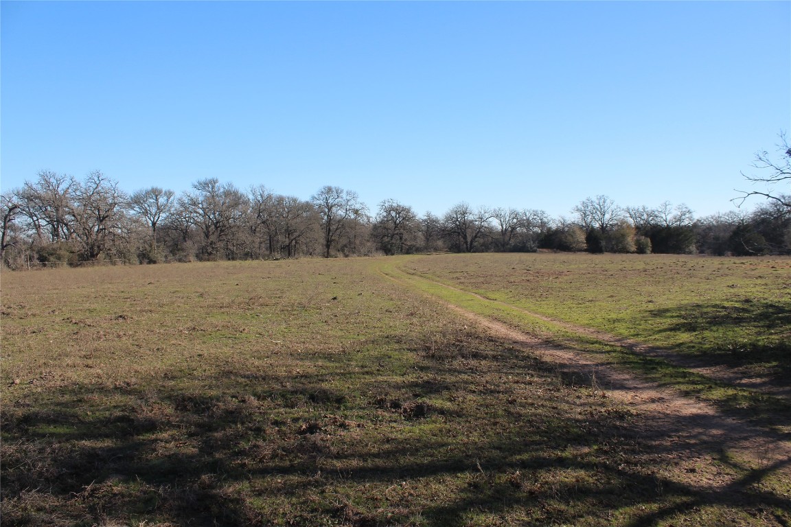 1223 County Road 429 , Dime Box, TX, 77853 | 8914068 | Realty Texas LLC