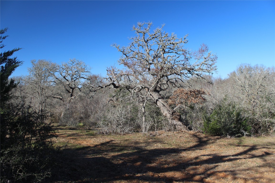 1223 County Road 429 , Dime Box, TX, 77853 | 8914068 | Realty Texas LLC