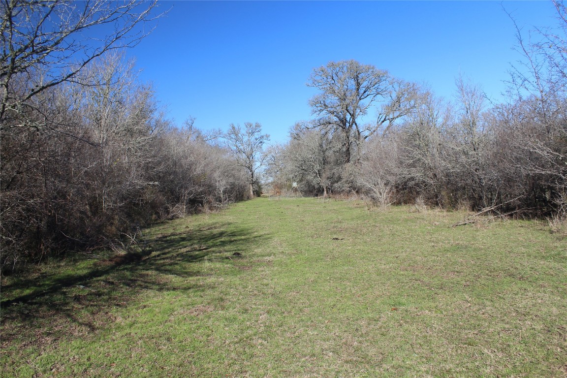 1223 County Road 429 , Dime Box, TX, 77853 | 8914068 | Realty Texas LLC