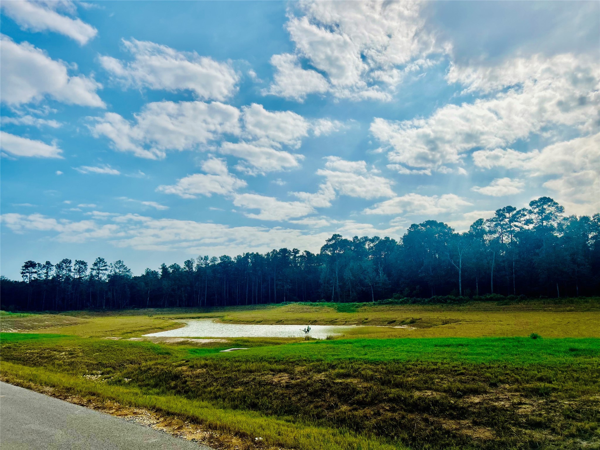 1520 County Road 632 , Dayton, TX, 77535 | 28709798 | Realty Texas LLC