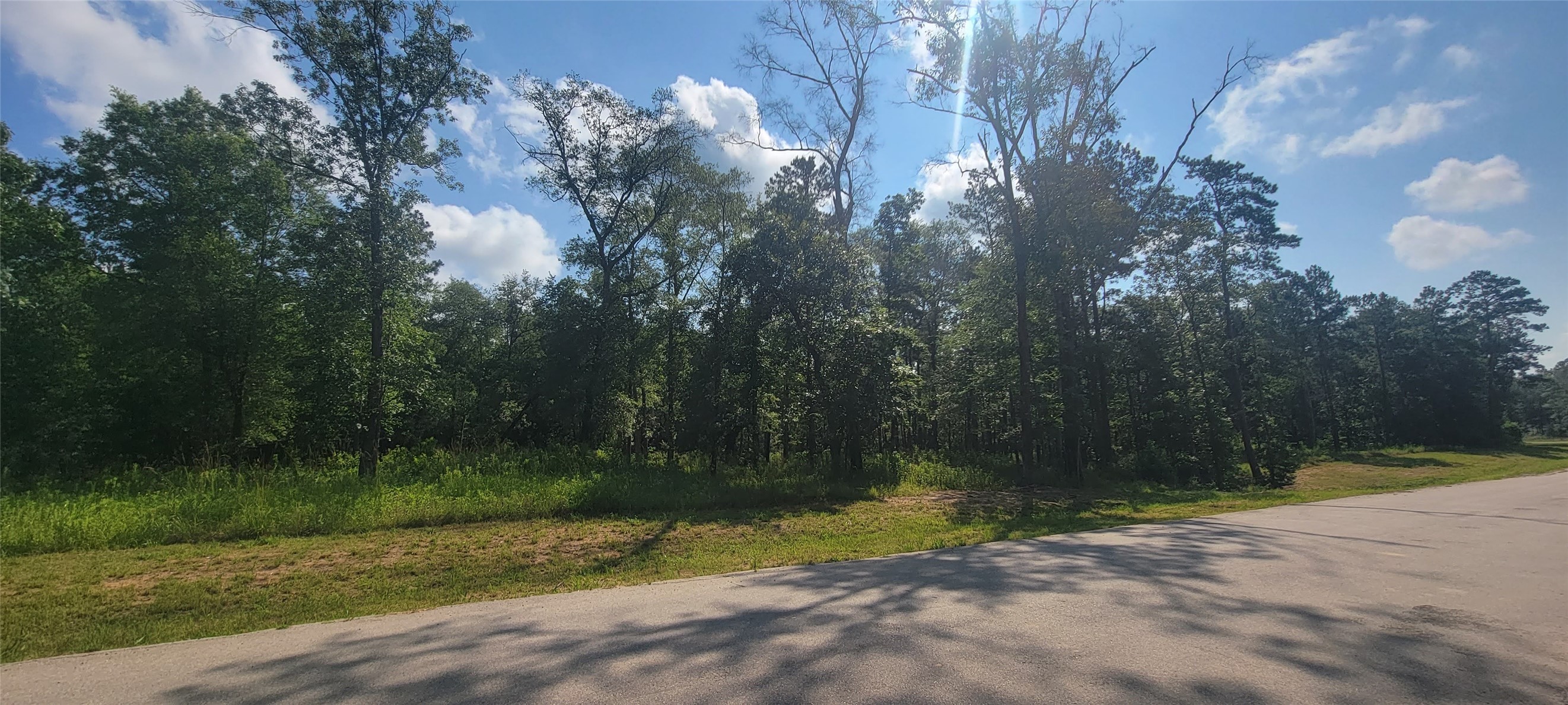 1163 County Road 6324 , Dayton, TX, 77535 | 17555373 | Realty Texas LLC
