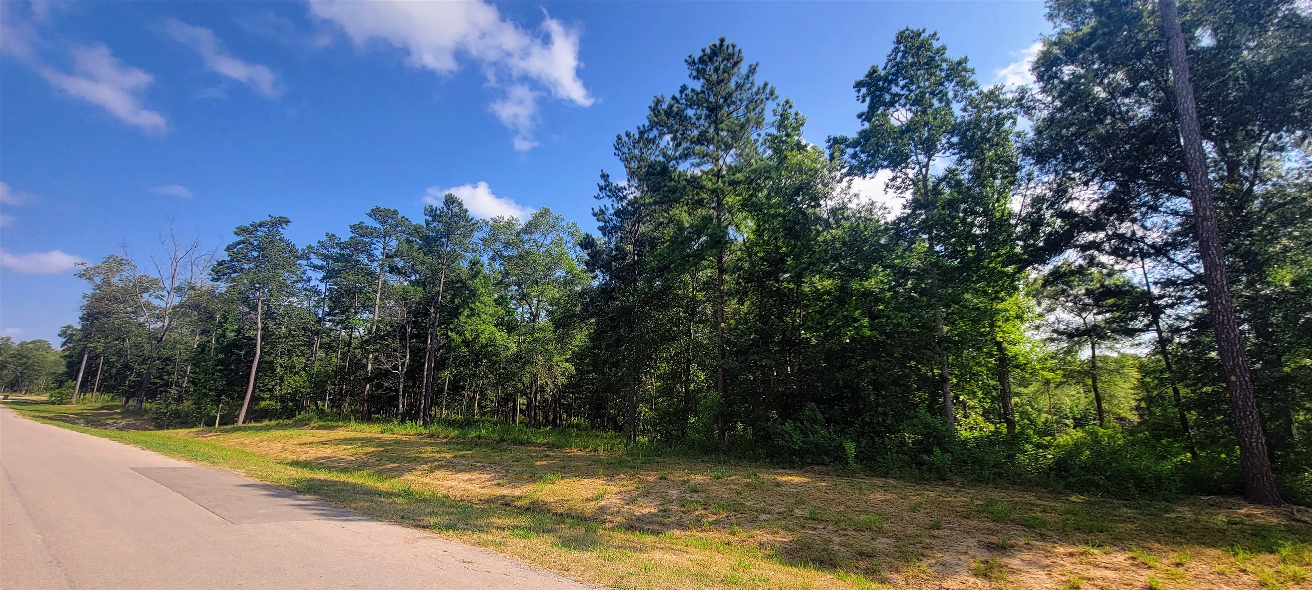1030 County Road 6325 , Dayton, TX, 77535 | 51848083 | Realty Texas LLC