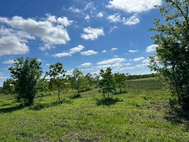 732 County Road 6042 , Dayton, TX, 77535 | 25827190 | Realty Texas LLC