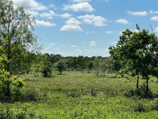 732 County Road 6042 , Dayton, TX, 77535 | 25827190 | Realty Texas LLC