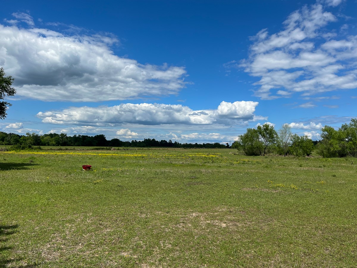 0000000 County Road 3625A , Lovelady, TX, 75851 | 65931015 | Realty Texas LLC