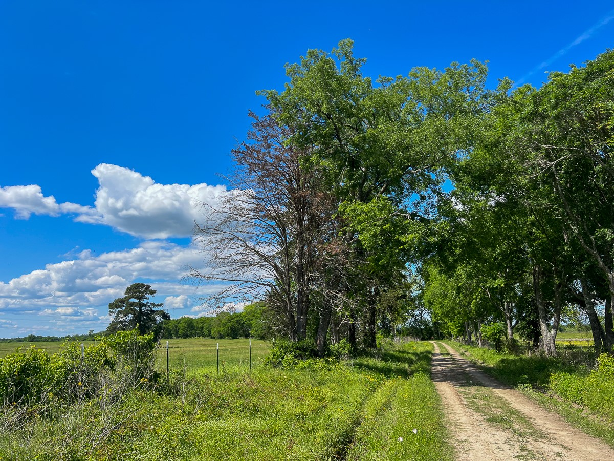 0000000 County Road 3625A , Lovelady, TX, 75851 | 65931015 | Realty Texas LLC