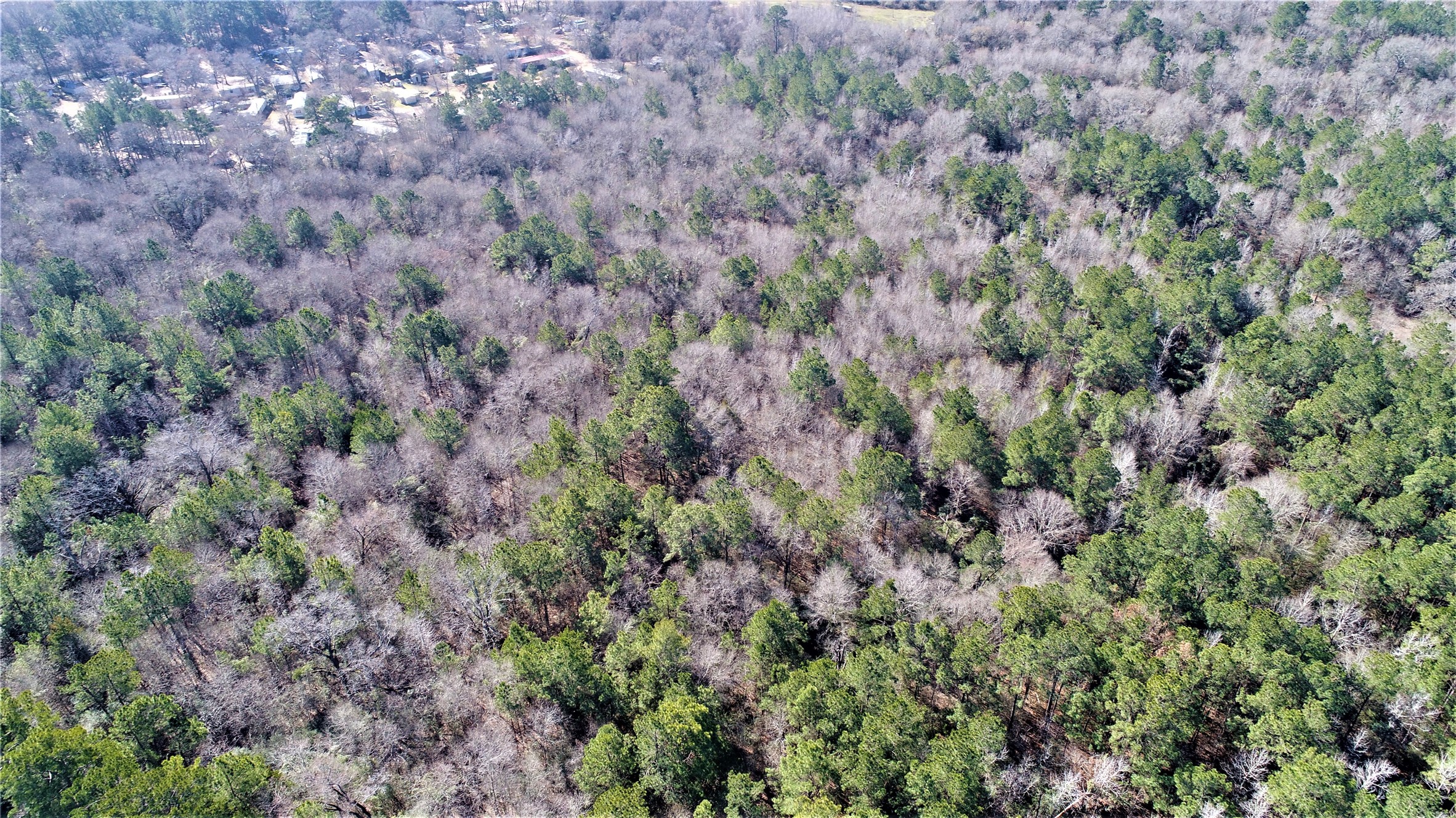 TBD Loop 304 E , Crockett, TX, 75835 | 32696038 | Realty Texas LLC