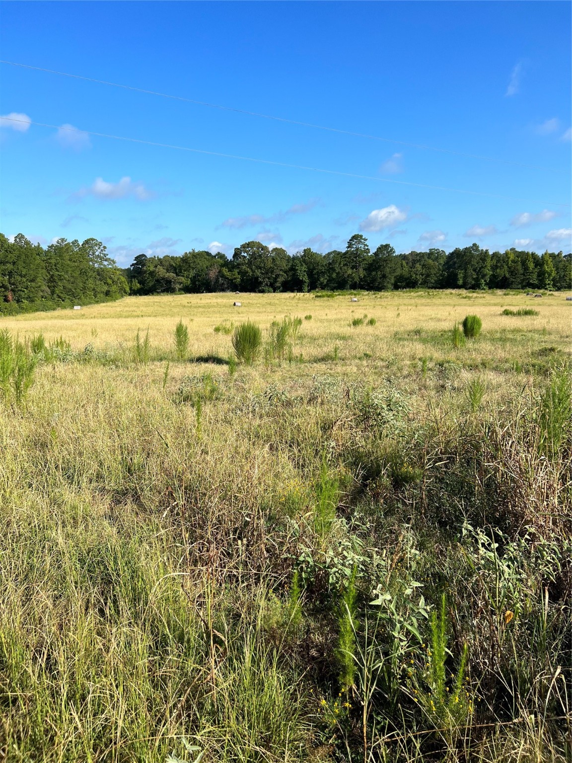 TBD CR 4535, Crockett, TX, 75835 | 38332814 | Realty Texas LLC