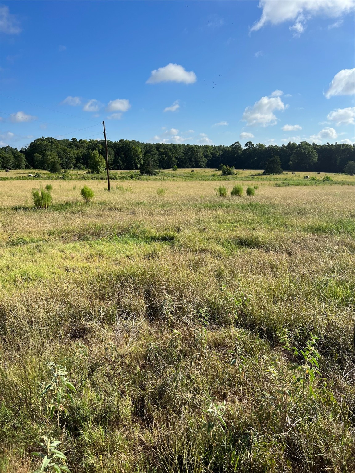 TBD CR 4535, Crockett, TX, 75835 | 38332814 | Realty Texas LLC