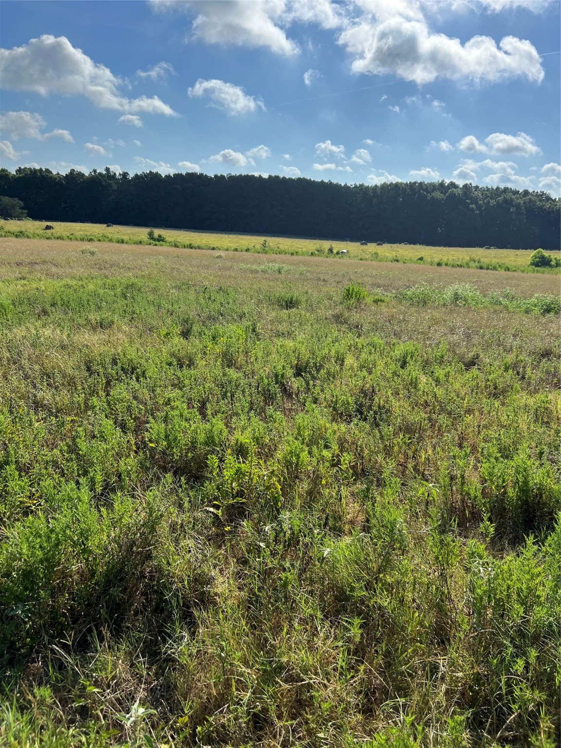 TBD CR 4535, Crockett, TX, 75835 | 38332814 | Realty Texas LLC