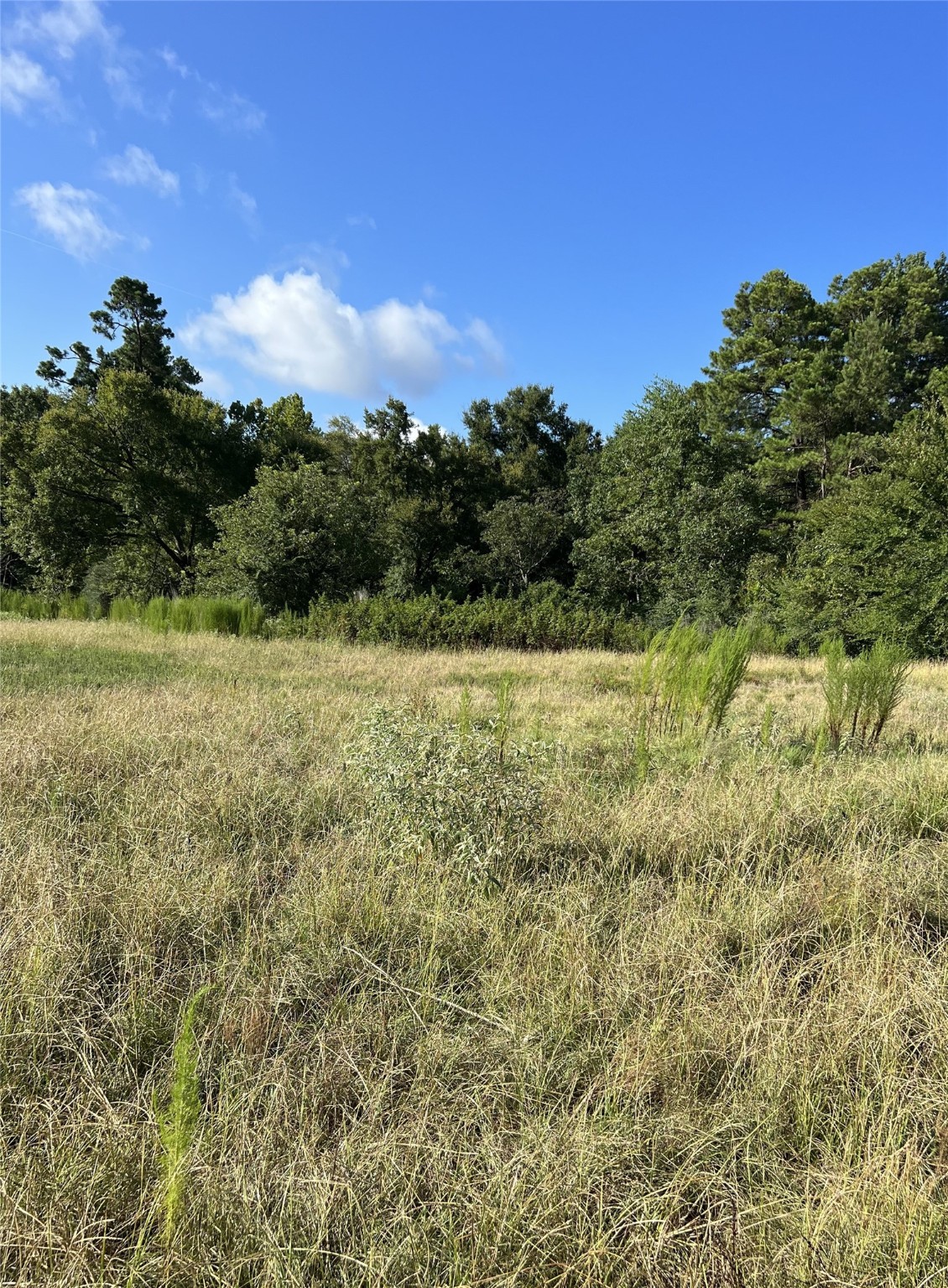 TBD CR 4535, Crockett, TX, 75835 | 38332814 | Realty Texas LLC