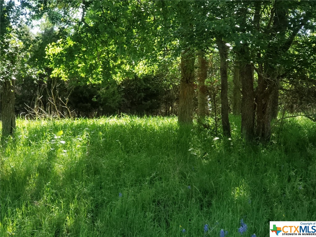 TBD Jack Nicklaus Circle , Salado, TX, 76571 | 503195 | Realty Texas LLC