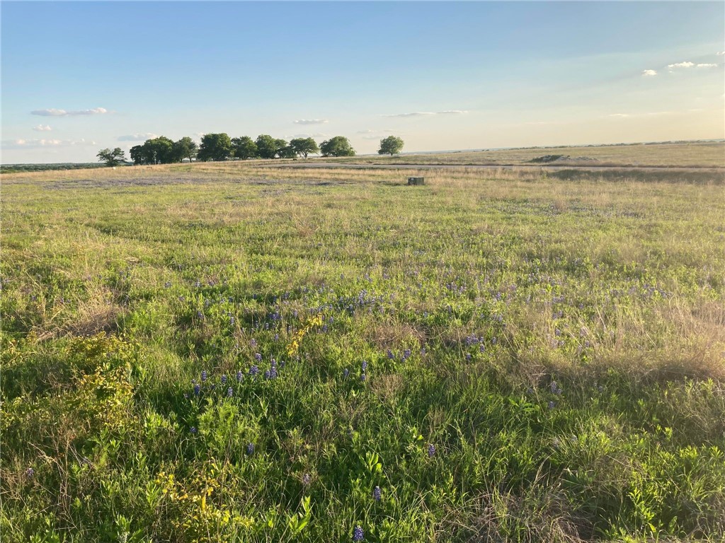 LOT 83 Crest View Trail , Hillsboro, TX, 76645 | 214786 | Realty Texas LLC