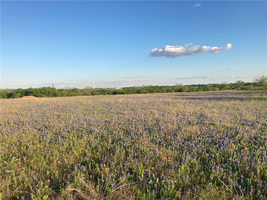 LOT 83 Crest View Trail , Hillsboro, TX, 76645 | 214786 | Realty Texas LLC