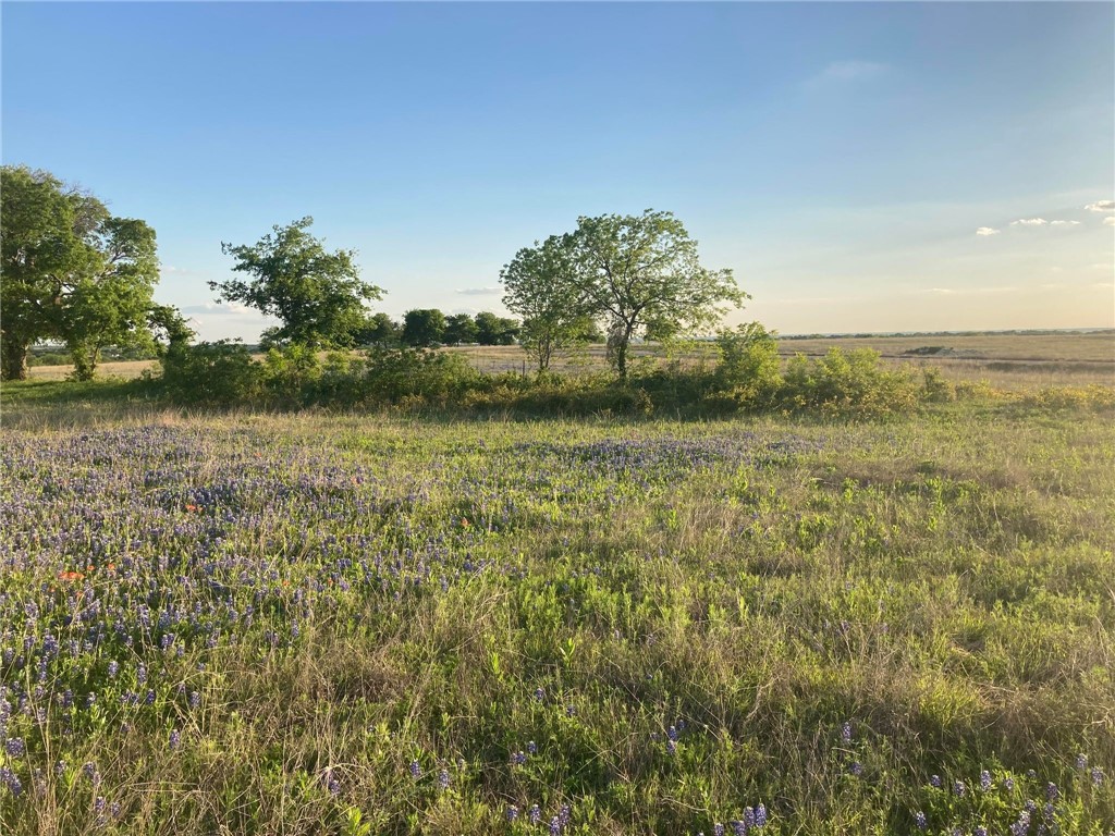 LOT 83 Crest View Trail , Hillsboro, TX, 76645 | 214786 | Realty Texas LLC