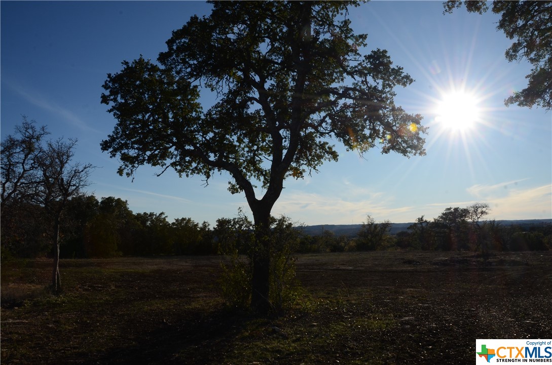 Lot 12/13 Byrd Ranch Road, Johnson City, TX, 78636 | 504285 | Realty Texas LLC
