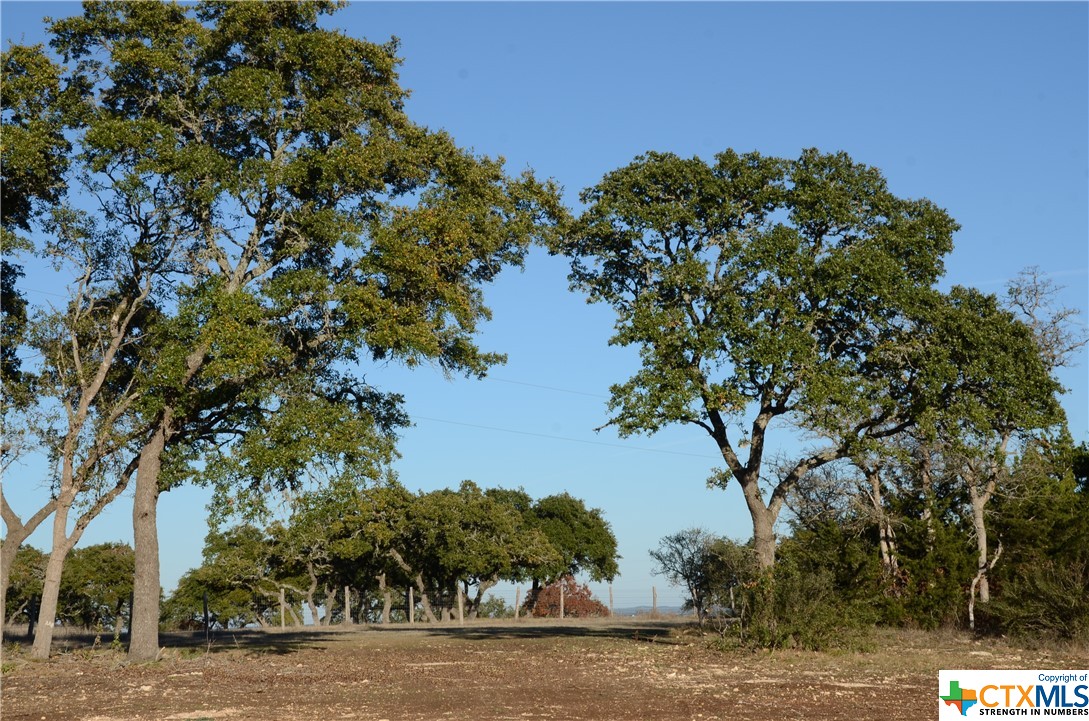 Lot 12/13 Byrd Ranch Road, Johnson City, TX, 78636 | 504285 | Realty Texas LLC