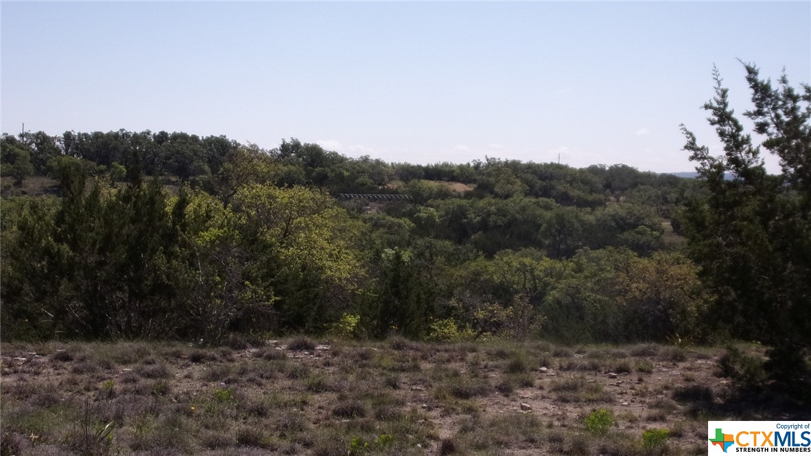 Lot 12/13 Byrd Ranch Road, Johnson City, TX, 78636 | 504285 | Realty Texas LLC