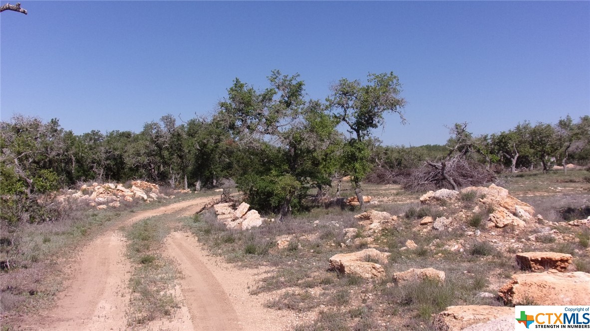 Lot 12/13 Byrd Ranch Road, Johnson City, TX, 78636 | 504285 | Realty Texas LLC