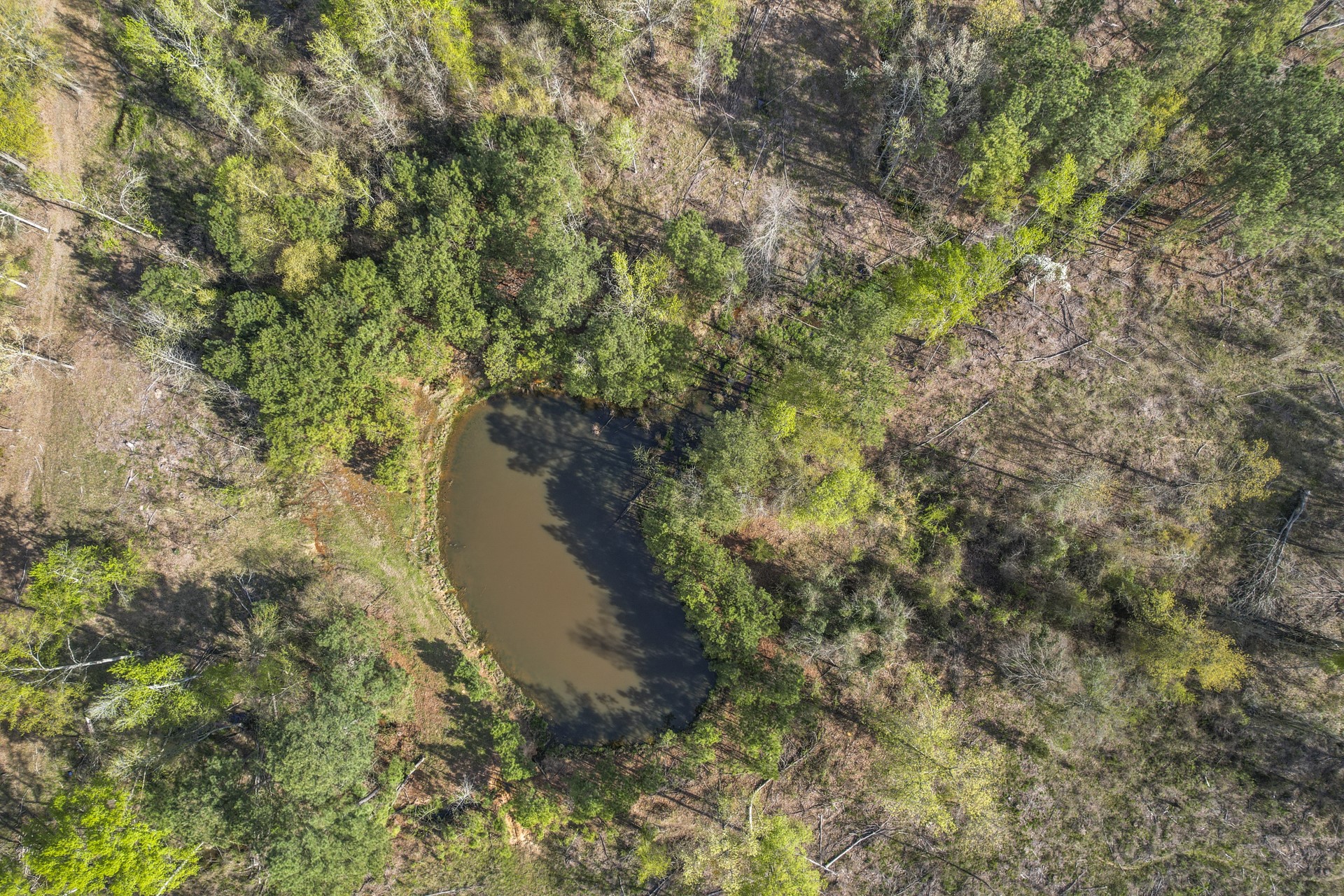 TBD CR 4663 , Mt Pleasant, TX, 75455 | 20307027 | Realty Texas LLC