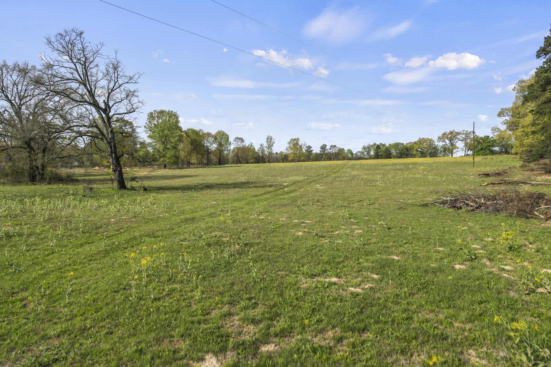 TBD CR 4663 , Mt Pleasant, TX, 75455 | 20307027 | Realty Texas LLC