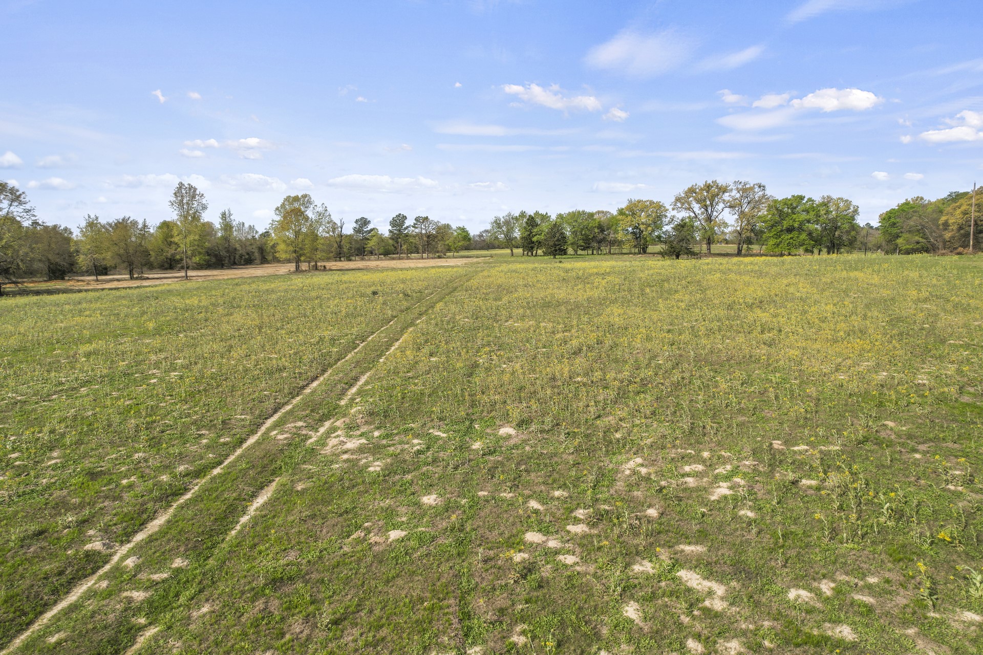 TBD CR 4663 , Mt Pleasant, TX, 75455 | 20307027 | Realty Texas LLC
