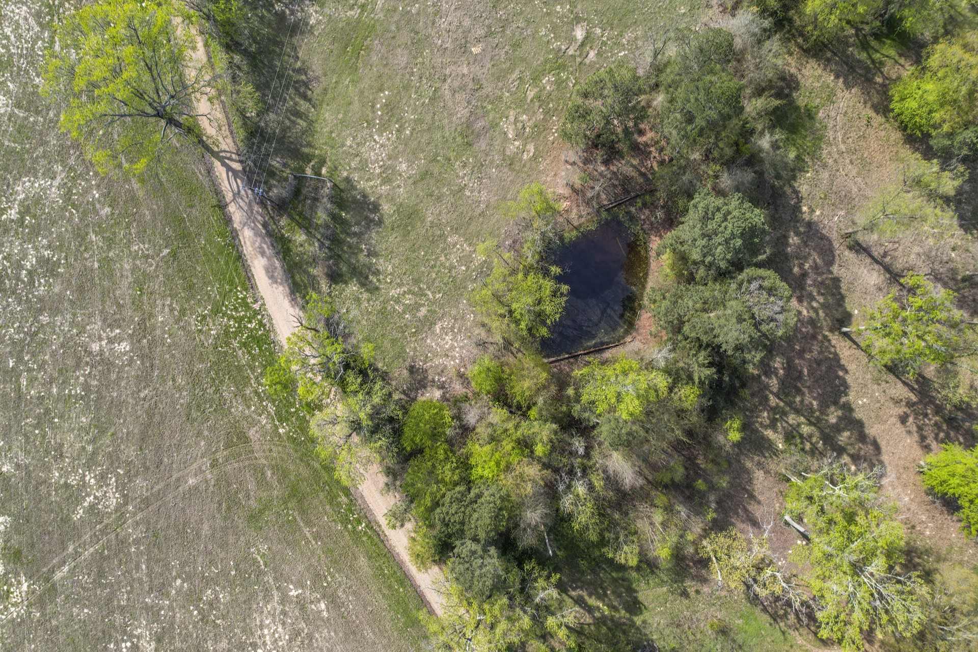 TBD CR 4663 , Mt Pleasant, TX, 75455 | 20307027 | Realty Texas LLC