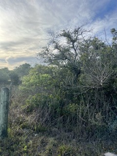 131 McPherson Road , Rockport, TX, 78382 | 417175 | Realty Texas LLC