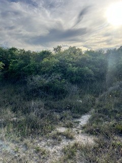 131 McPherson Road , Rockport, TX, 78382 | 417175 | Realty Texas LLC