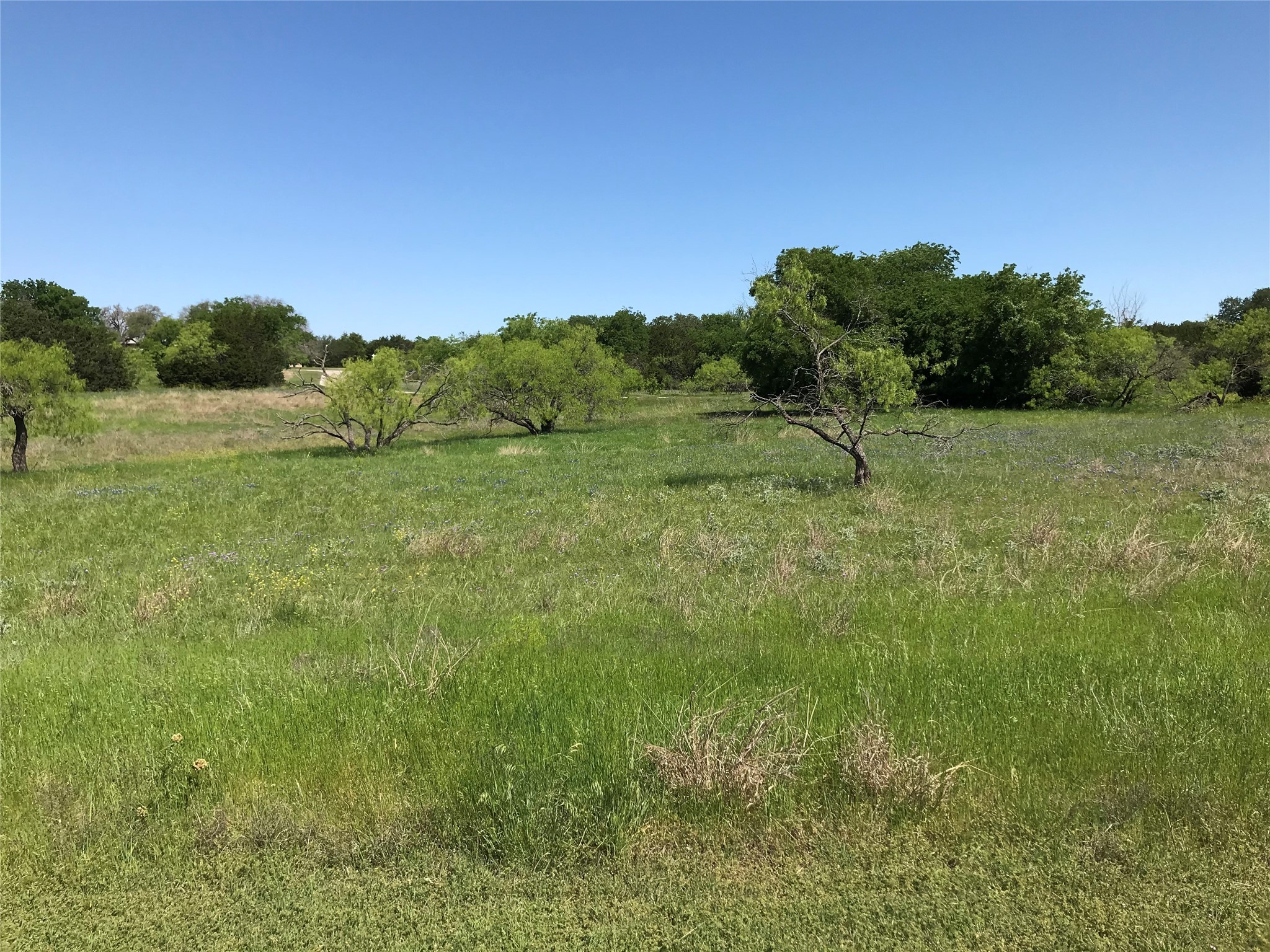 19115 White Bluff Drive , Whitney, TX, 76692 | 20309125 | Realty Texas LLC