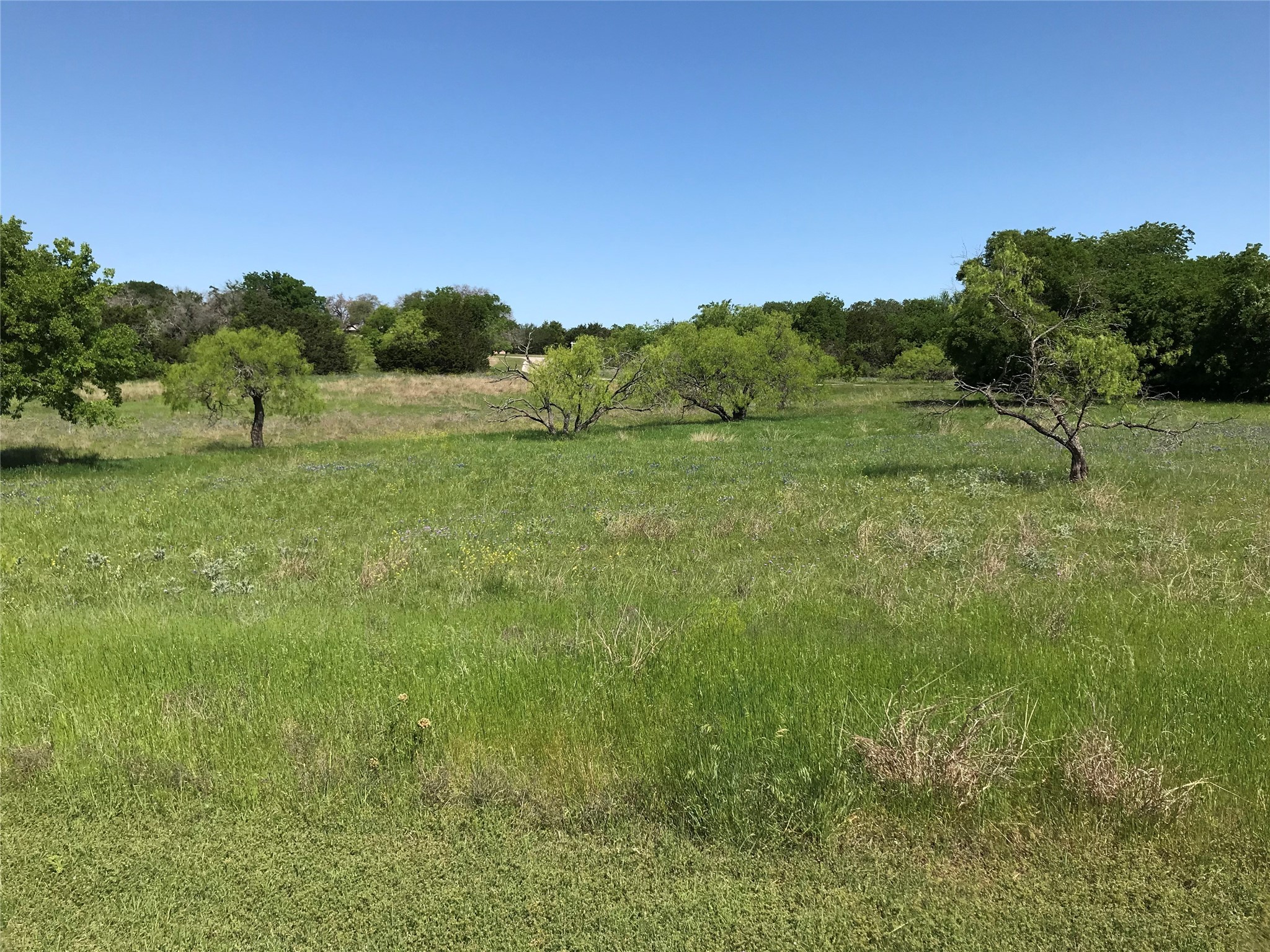 19115 White Bluff Drive , Whitney, TX, 76692 | 20309125 | Realty Texas LLC