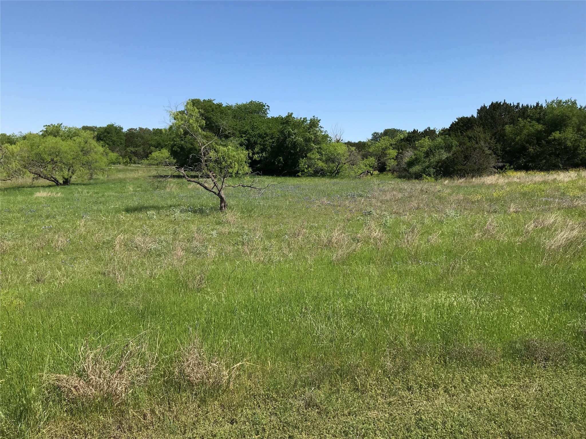 19115 White Bluff Drive , Whitney, TX, 76692 | 20309125 | Realty Texas LLC