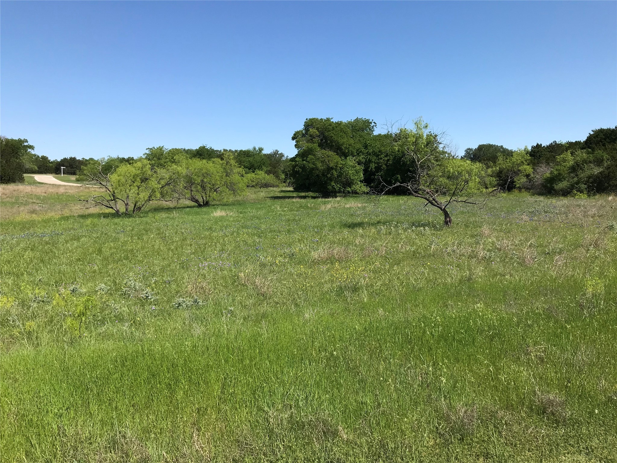 19115 White Bluff Drive , Whitney, TX, 76692 | 20309125 | Realty Texas LLC