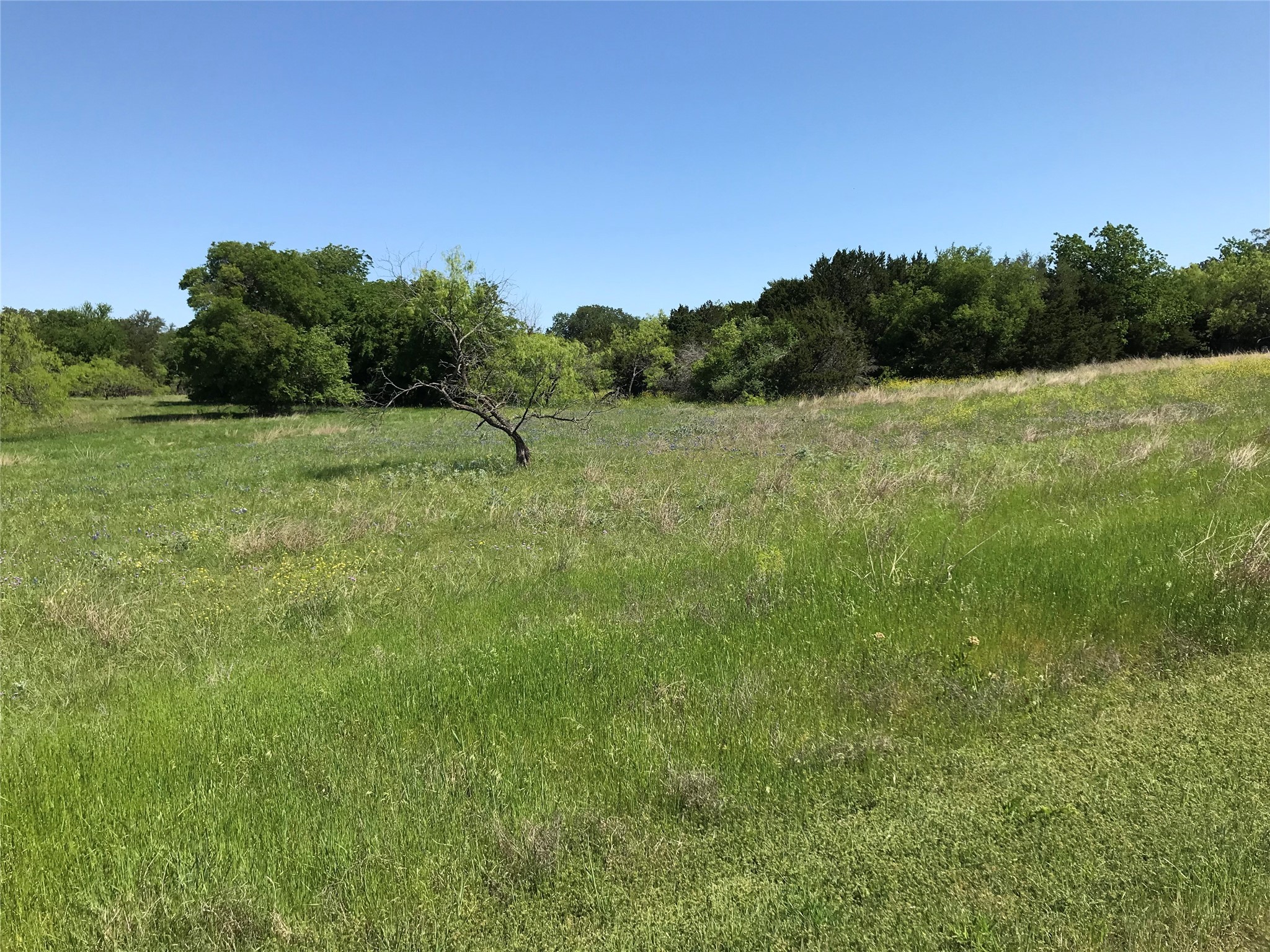 19115 White Bluff Drive , Whitney, TX, 76692 | 20309125 | Realty Texas LLC