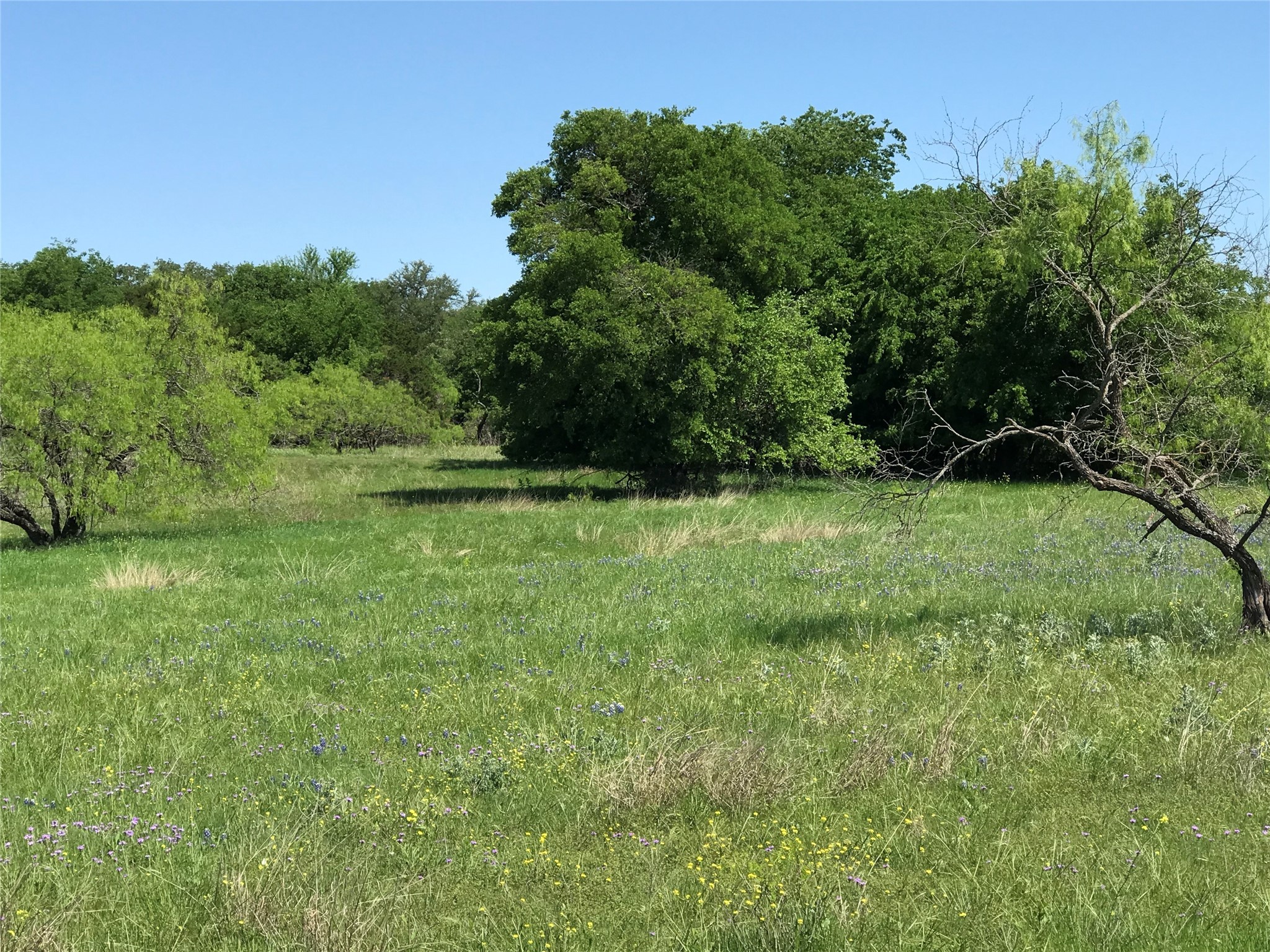 19115 White Bluff Drive , Whitney, TX, 76692 | 20309125 | Realty Texas LLC