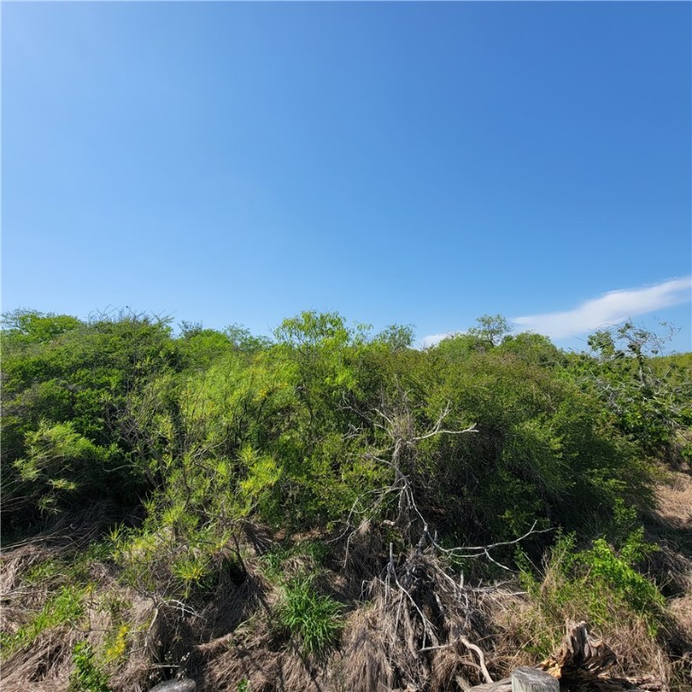 1715 First Street , Bayside, TX, 78340 | 417459 | Realty Texas LLC
