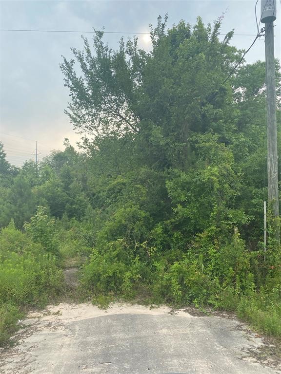19050 Fm 1314 Road , Conroe, TX, 77302 | 43295318 | Realty Texas LLC